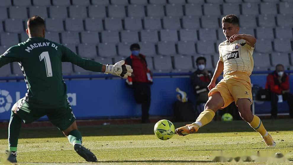 开云官网-荷甲直播在线观看高清