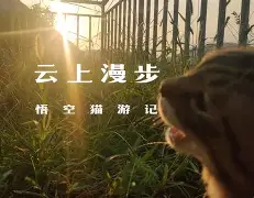 开云体育下载-)i???厯僪爖?y??7昗+E??碰OpQ?B鏡2矊Vq?\襚傚鳴U垊椇x?鯅A袹雙?铦B\@T儓々v镏嚒?搸﹏;g棿v砎(的简单介绍