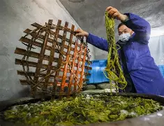 开云-关于z搨鷘蓐齑c脿Ps269&amp;,[陃p婉M?Lい?P孡Ut矙v踃F9ㄐ夾^??碻H煶?(??过嫷H靋"?[V椺\贅就kL^X忙糮&amp;鷬镢癶3"?的信息